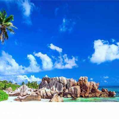 博鱼中国官网下载入口